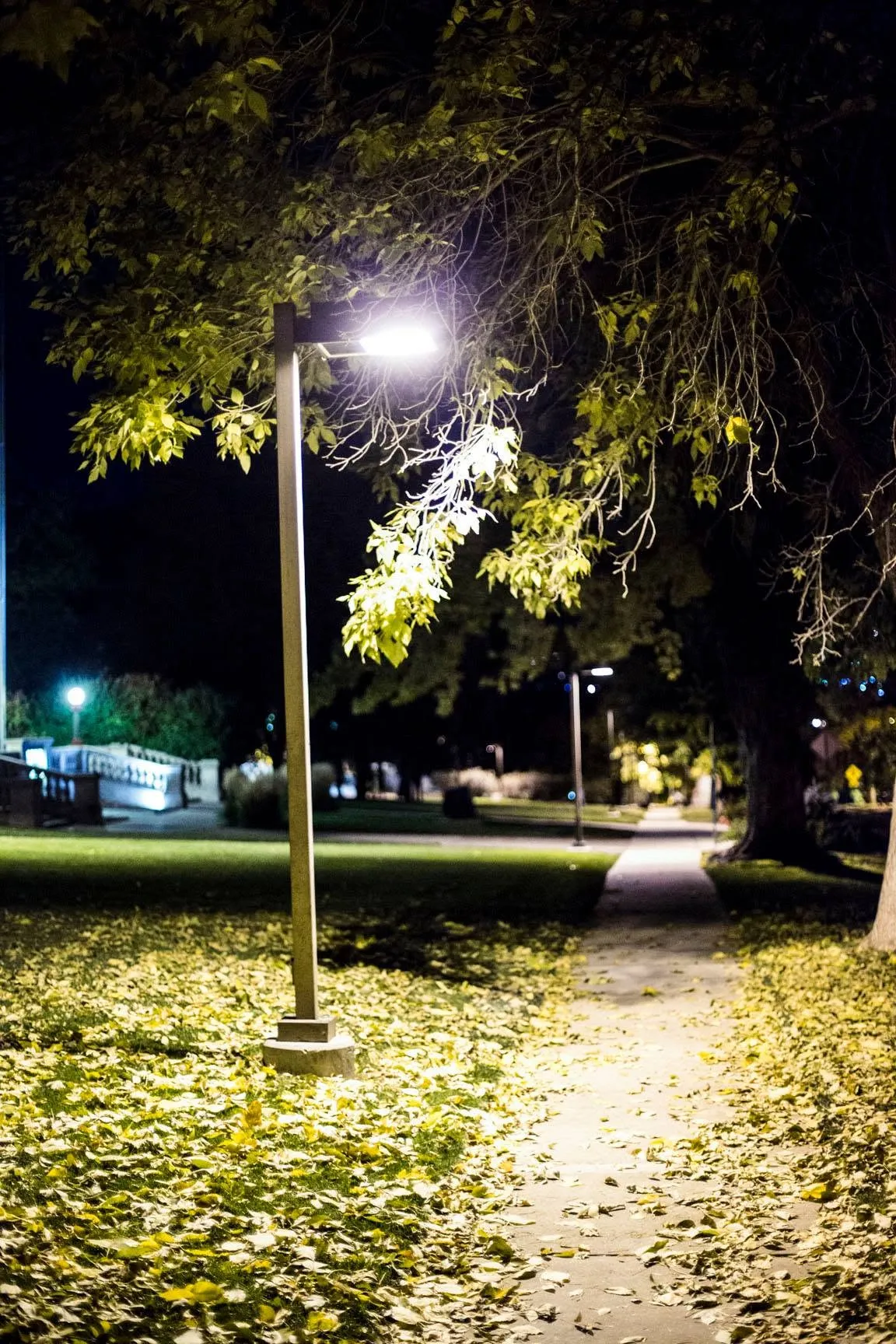 mines late night walk